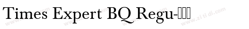 Times Expert BQ Regu字体转换